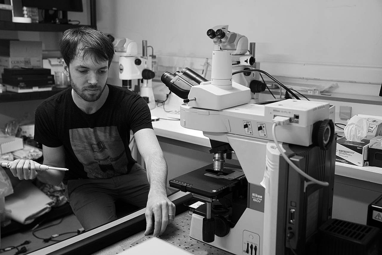 Working in the biology lab, Lille, France