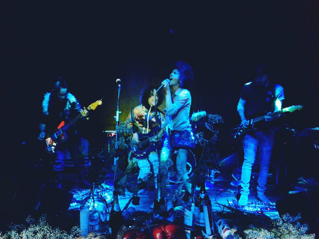 Full band performance blue lights